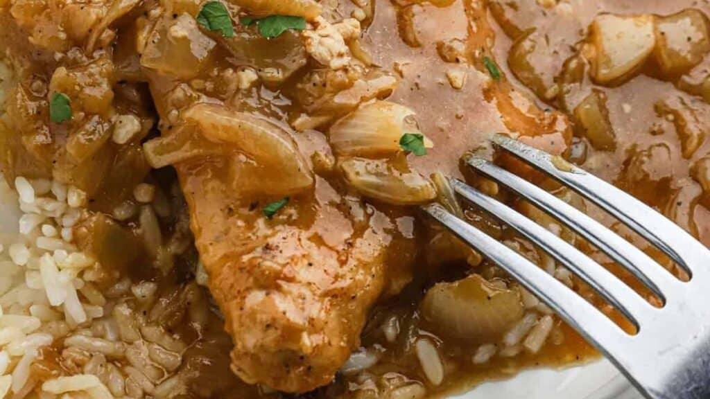 Close-up of a plate featuring rice topped with a piece of chicken covered in a rich brown onion gravy. A fork rests on the chicken, and some fresh herbs are sprinkled on top for garnish. The dish looks savory and inviting.